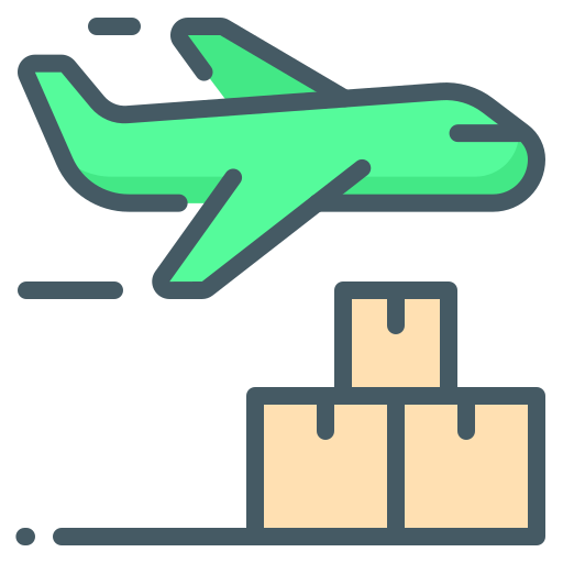 International Courier Services Icon